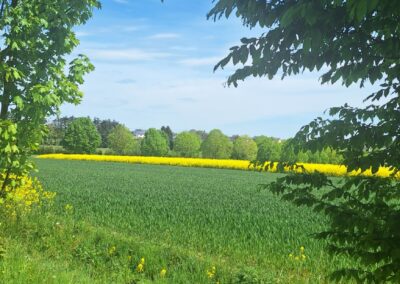 Landschaft
