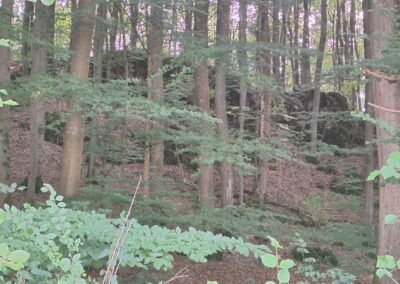 Felsen auf dem Weg durchs Bolsdorfer Tälchen